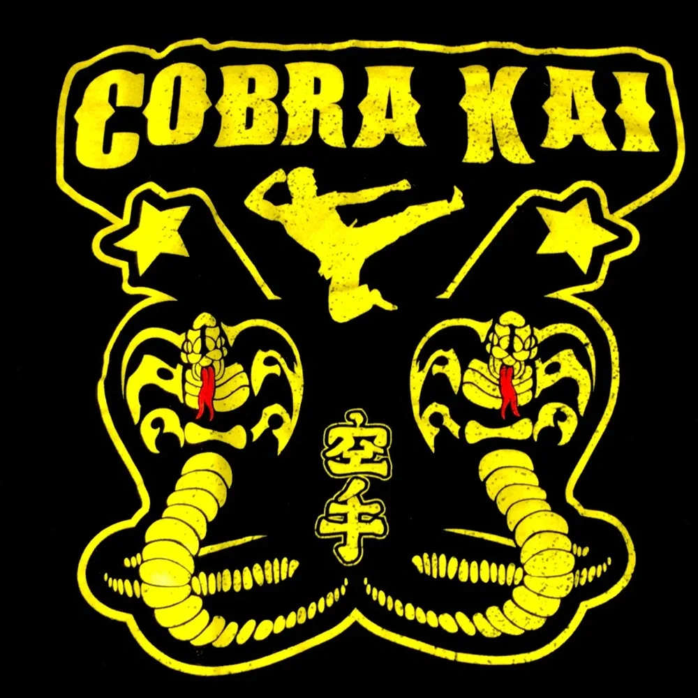 5/$25 BRAND NEW MENS BLACK COBRA KAI TSHIRT - Picture 3 of 4